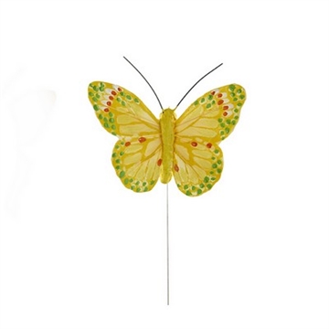Sommerfugl gule nuancer 1